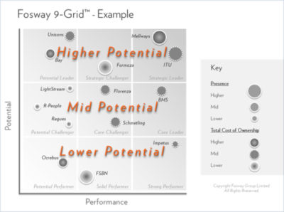 Fosway 9-Grid highlighting the bands of Potential